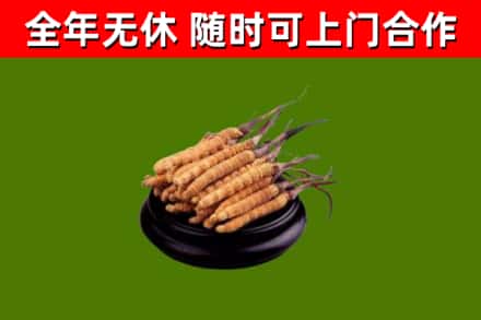 崇信县烟酒回收冬虫夏草.jpg